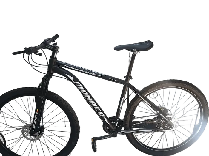Bicicleta absolute 29